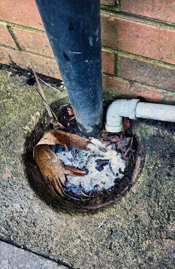 https://plumberduncraig.com.au/uploads/2025/06/blocked-drains-294506.jpg