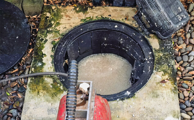 https://plumberduncraig.com.au/uploads/2025/06/blocked-drains-820453.jpg
